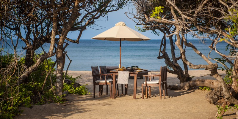Jungle Beach Resort