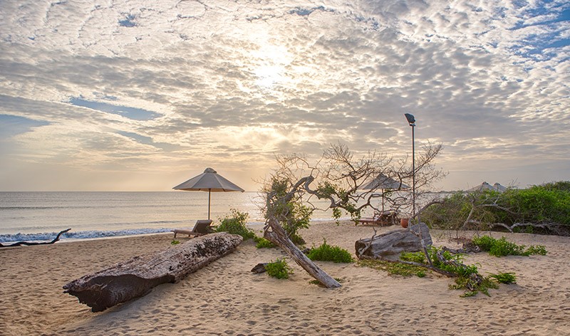 Jungle Beach Resort