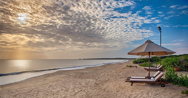 Jungle Beach Resort