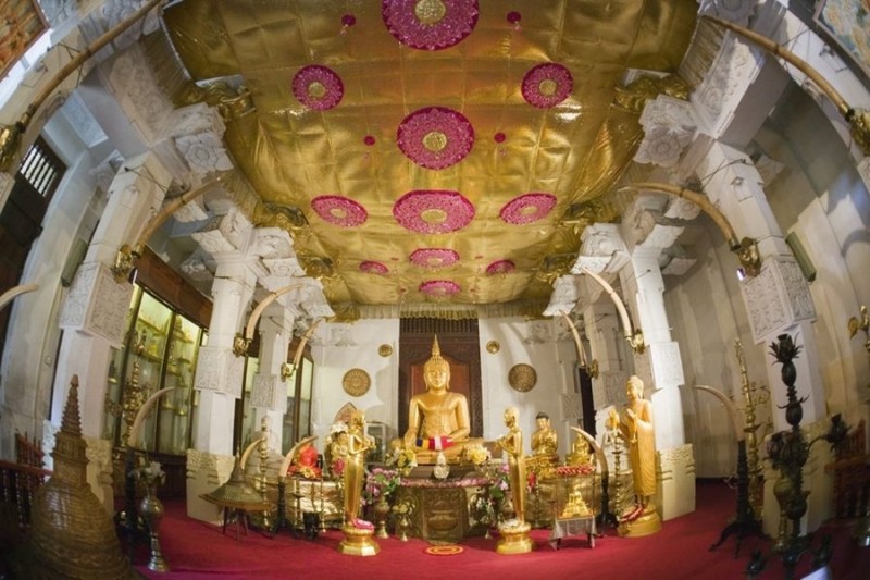 Ozo Kandy