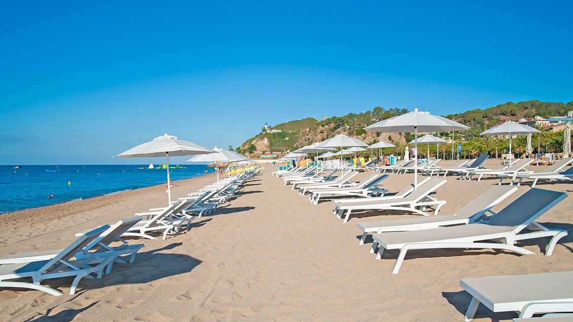 Kaktus Playa