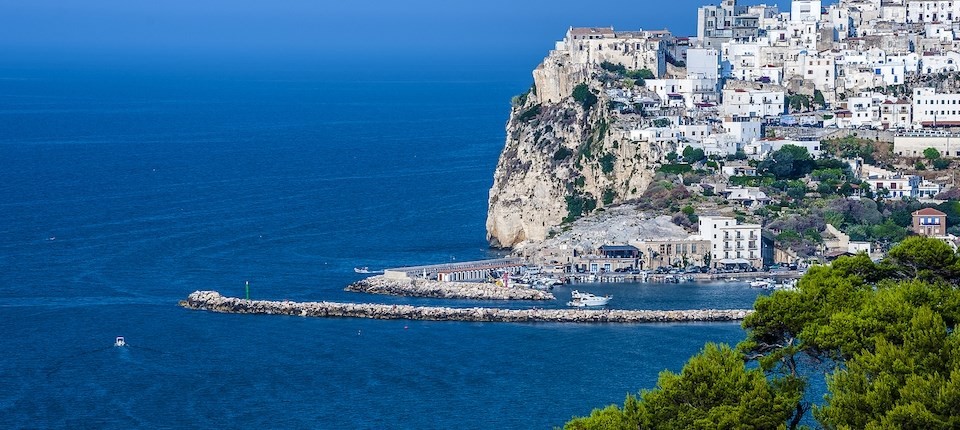 Kemp Stella Del Sud