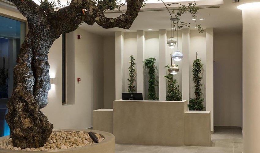 Tsamis Zante Suites