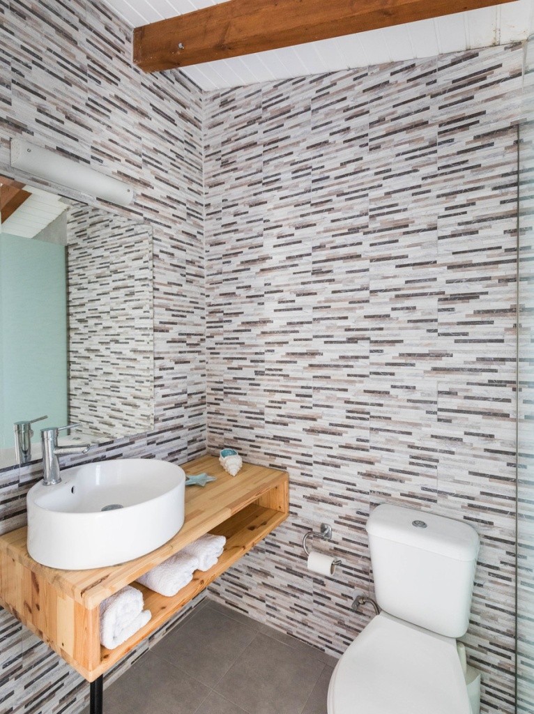 Bivalvia Beach Plus