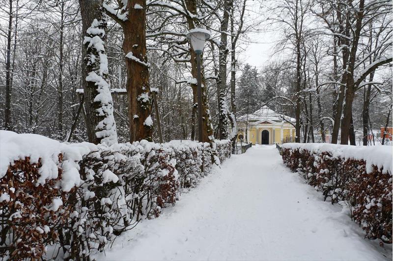 Zur Klause (Bad Hall)