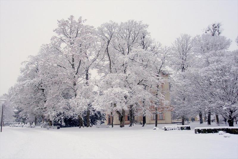 Zur Klause (Bad Hall)