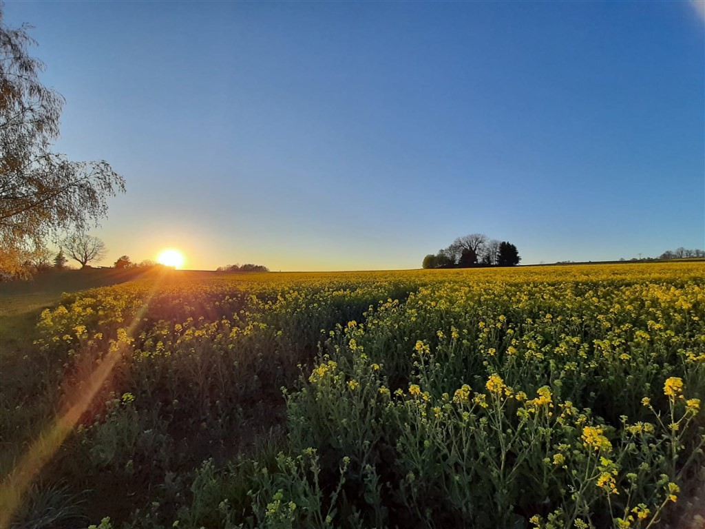 Rathaushotel Oberwiesenthal