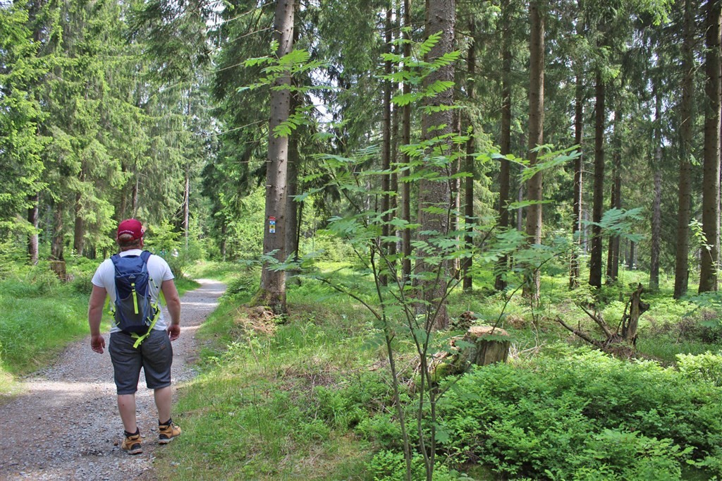 Rathaushotel Oberwiesenthal