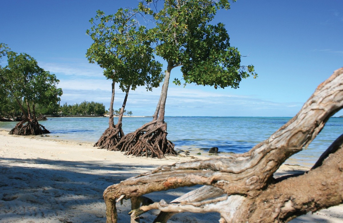 Jalsa Beach