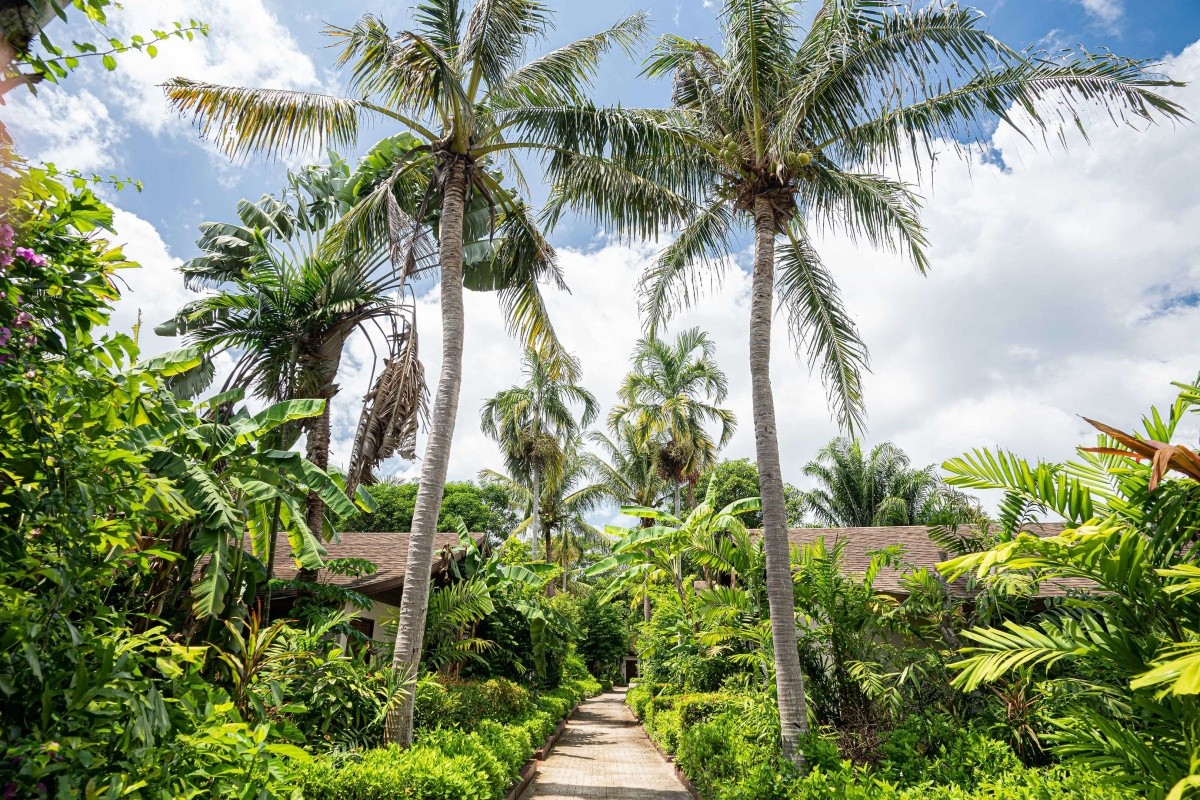 Barcelo Coconut Island