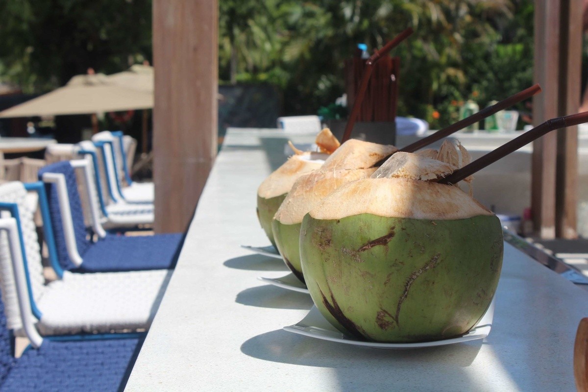 Barcelo Coconut Island