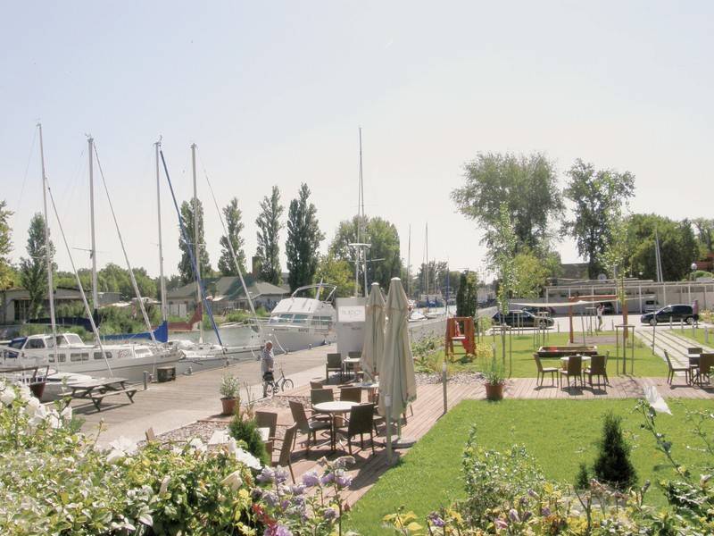 Yacht Wellness & Business