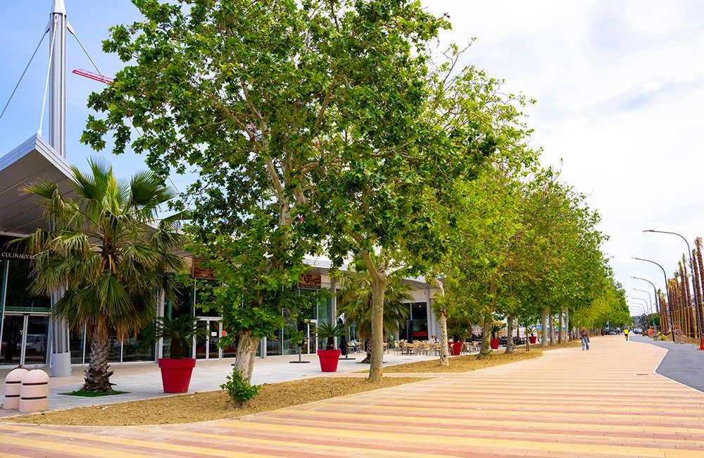 Regent (Pescara)