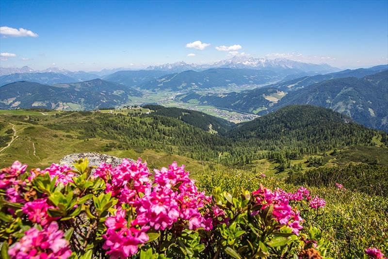 Alpenwelt