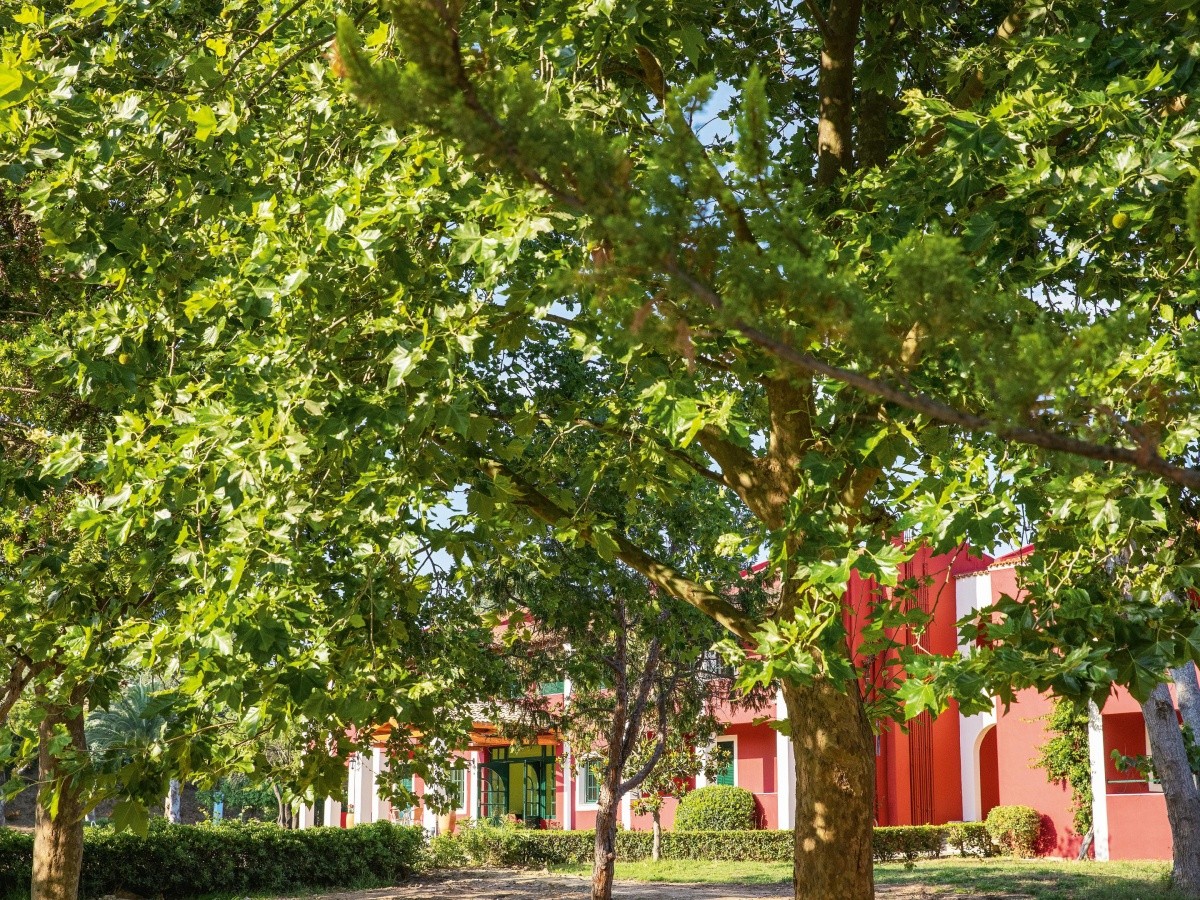 Grecotel Lux Me Costa Botanica (Ex. Gelina Village)