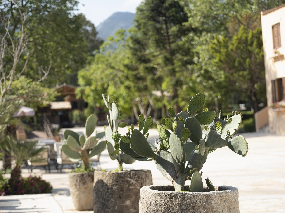 Grecotel Lux Me Costa Botanica (Ex. Gelina Village)