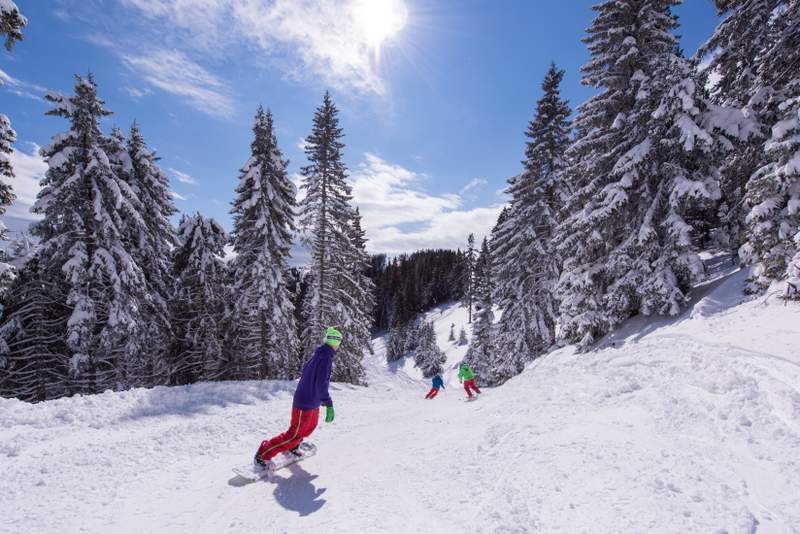 Wellness Montis (Golte)
