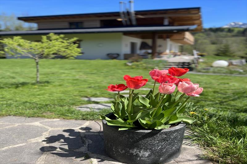 Apartmány Skida