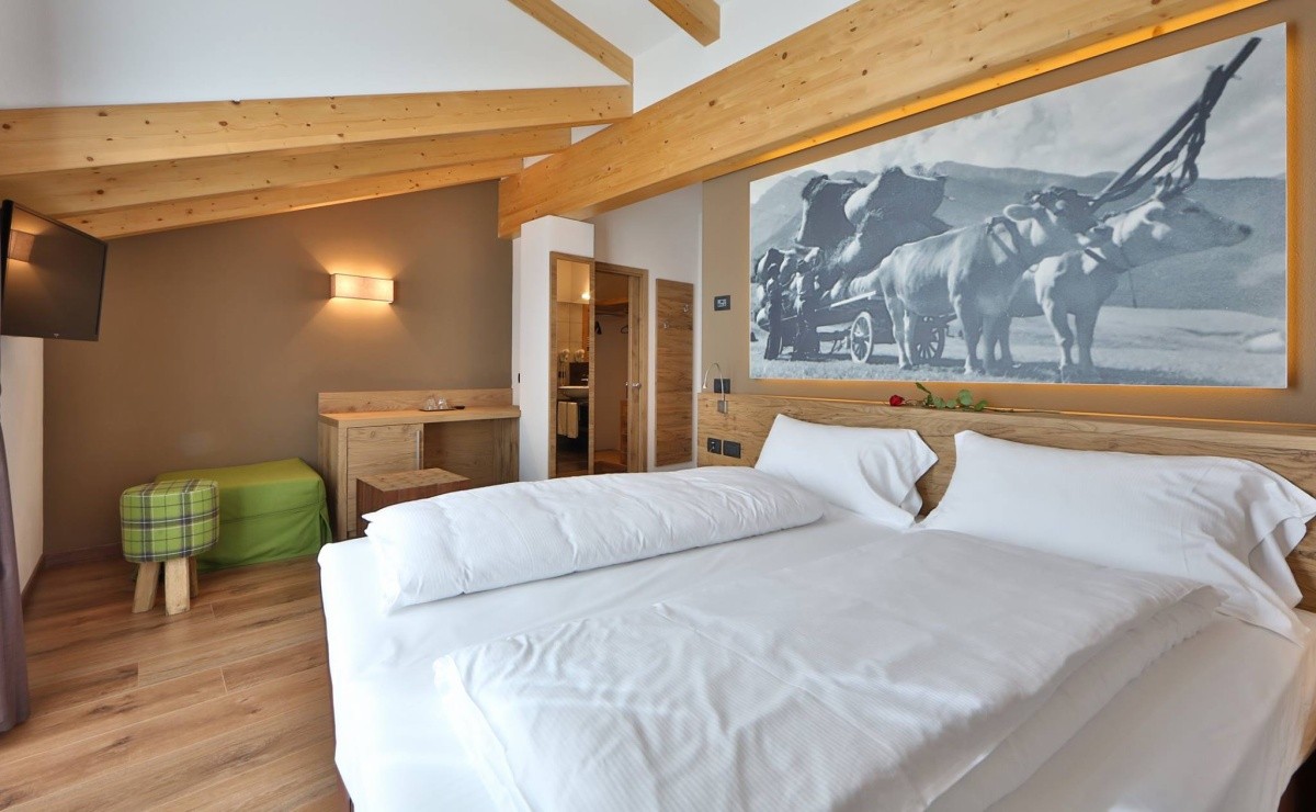 Sassdei Suite