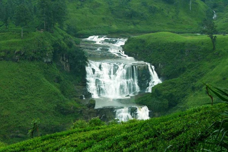 The Firs (Nuwara Eliya)