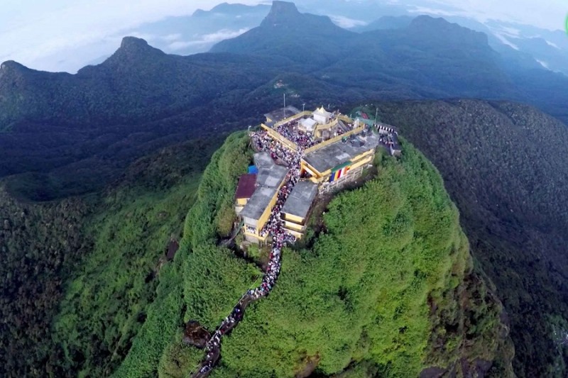 The Firs (Nuwara Eliya)