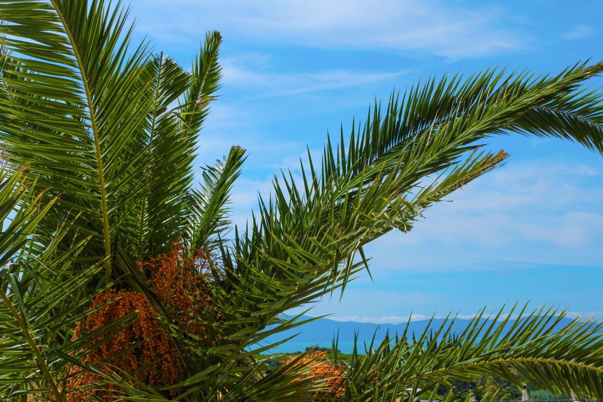 Argentario Osa Resort