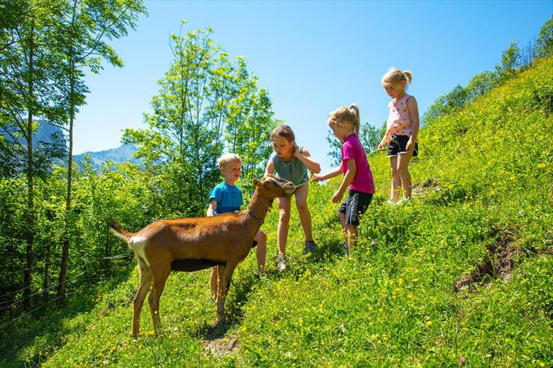 Familienhotel Bregenzerwald (Bezau)