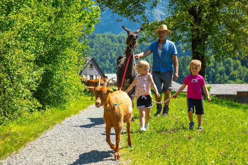 Familienhotel Bregenzerwald (Bezau)