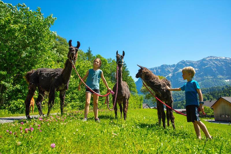 Familienhotel Bregenzerwald (Bezau)