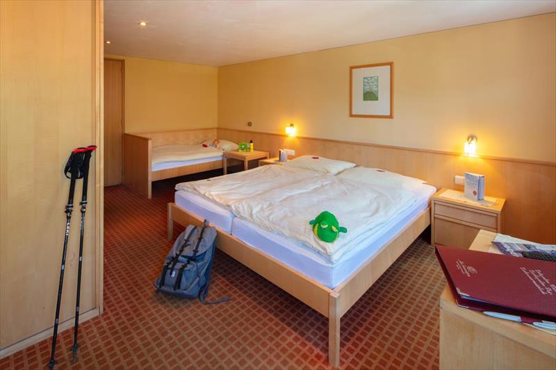 Familienhotel Bregenzerwald (Bezau)