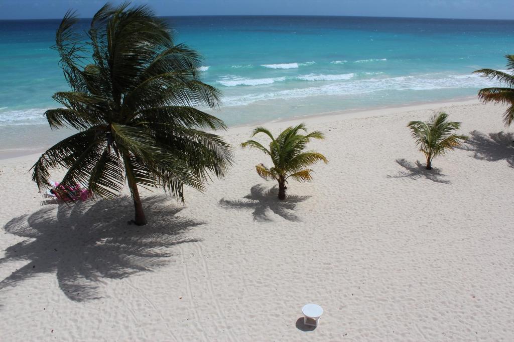 Southern Palms Beach Resort (Oistins)