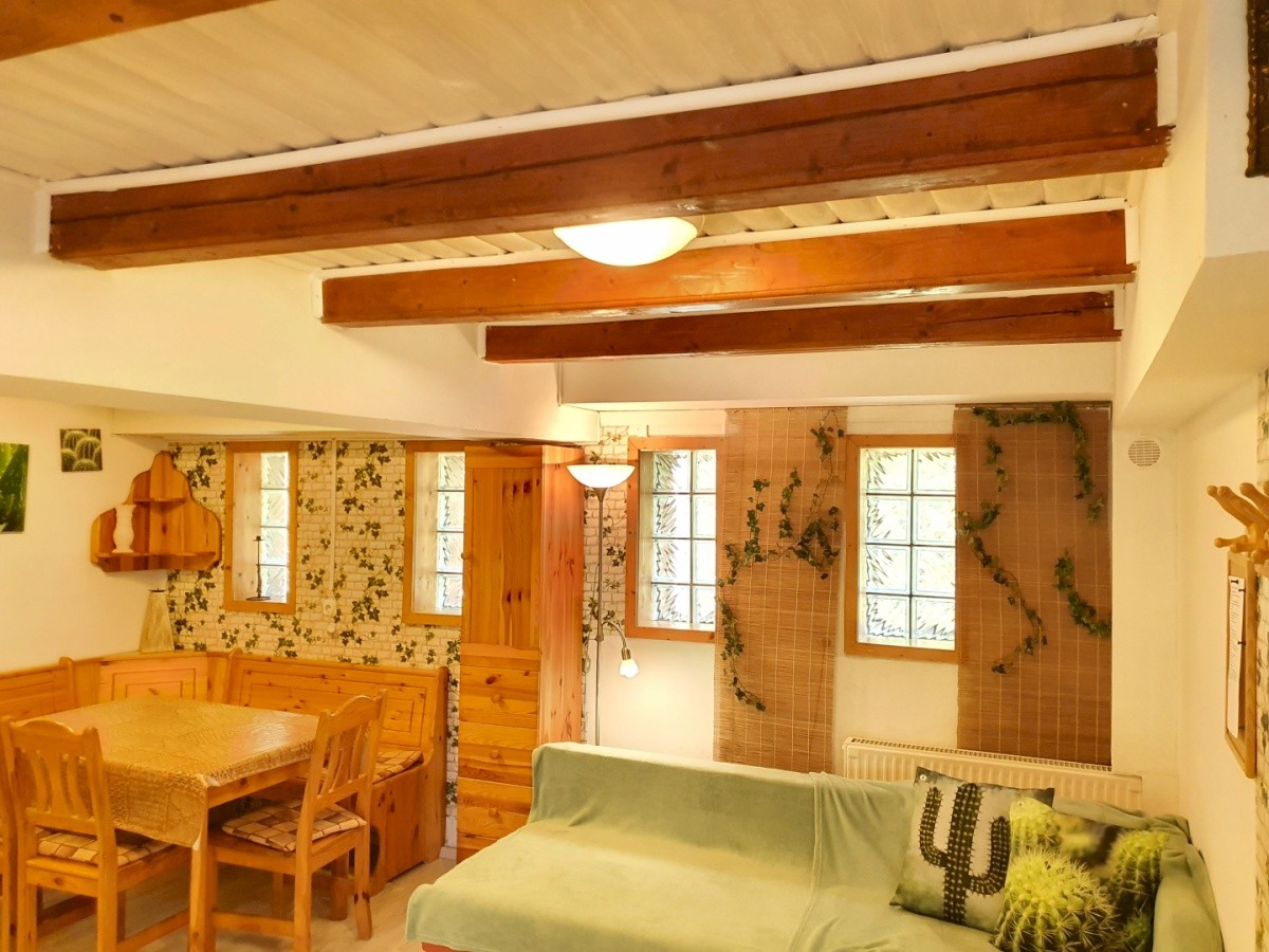 Kaktusz Villa