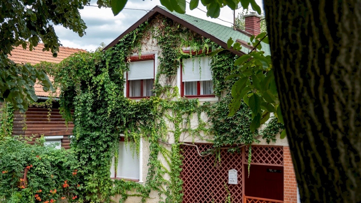 Vadszőlő Apartman