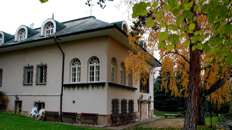 Villa Székely (Leányfalu)