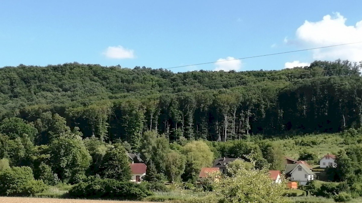 Penzion Zöld Orom (Magyarhertelend)