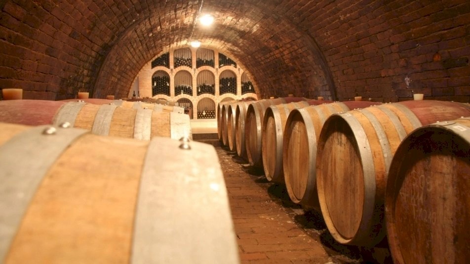 Penzion Diófa (Villány)
