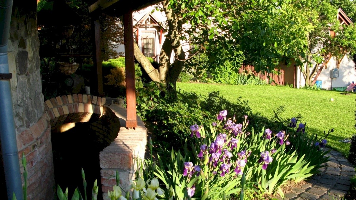 Vadrózsa Panzió Szentendre