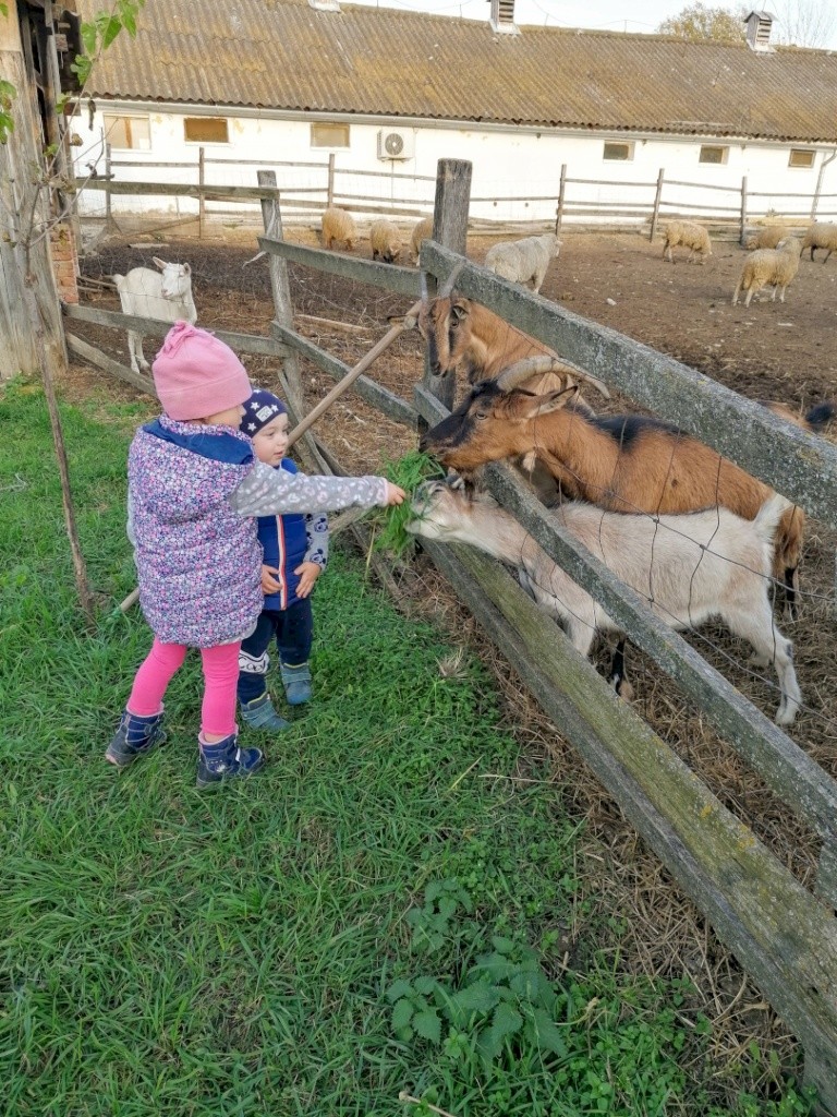 Sokoró Fogadó