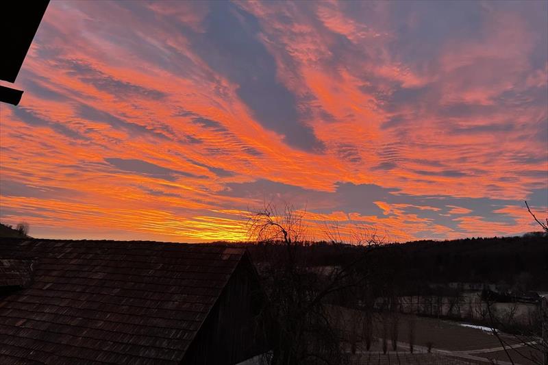 Weingut Ferienhaus Sonja Rohrbacher (Gamlitz)