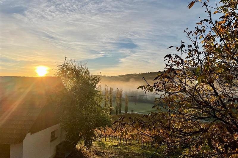 Weingut Ferienhaus Sonja Rohrbacher (Gamlitz)