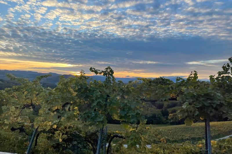 Weingut Ferienhaus Sonja Rohrbacher (Gamlitz)