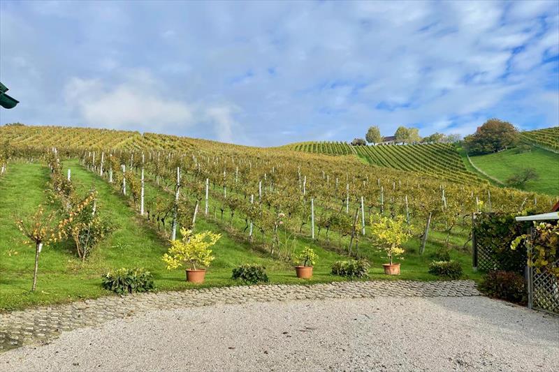 Weingut Ferienhaus Sonja Rohrbacher (Gamlitz)