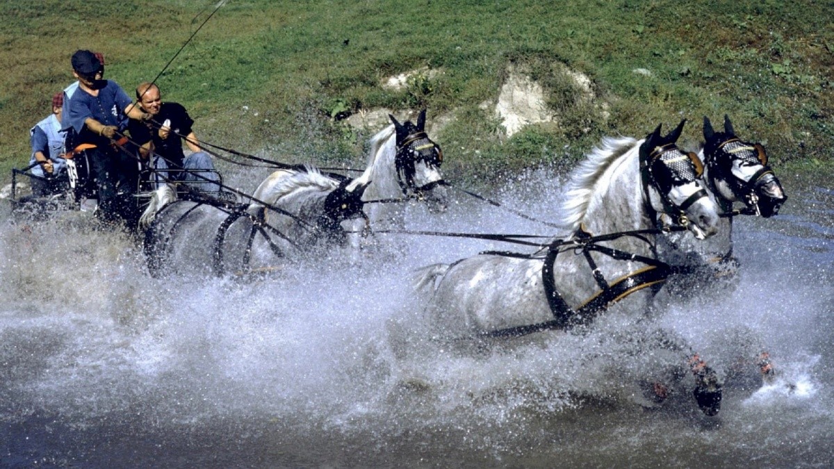 Szalajka Liget