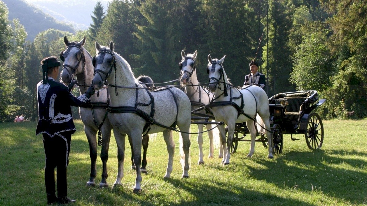 Szalajka Liget