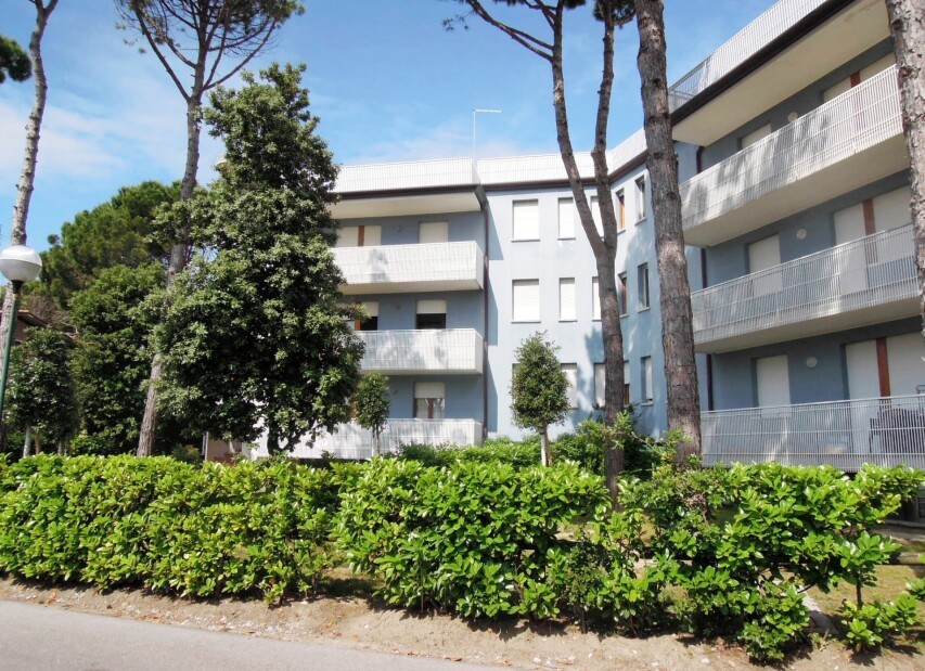 Narcisi (Bibione Pineda)