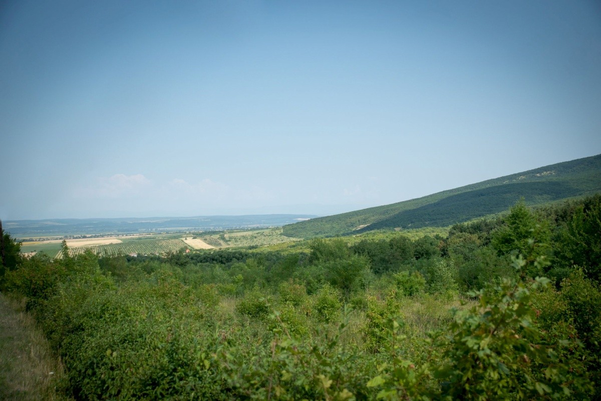 Penzion Zempléni (Fony)