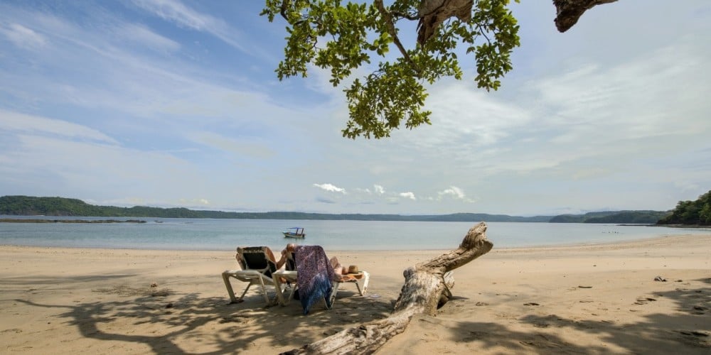 Occidental Papagayo