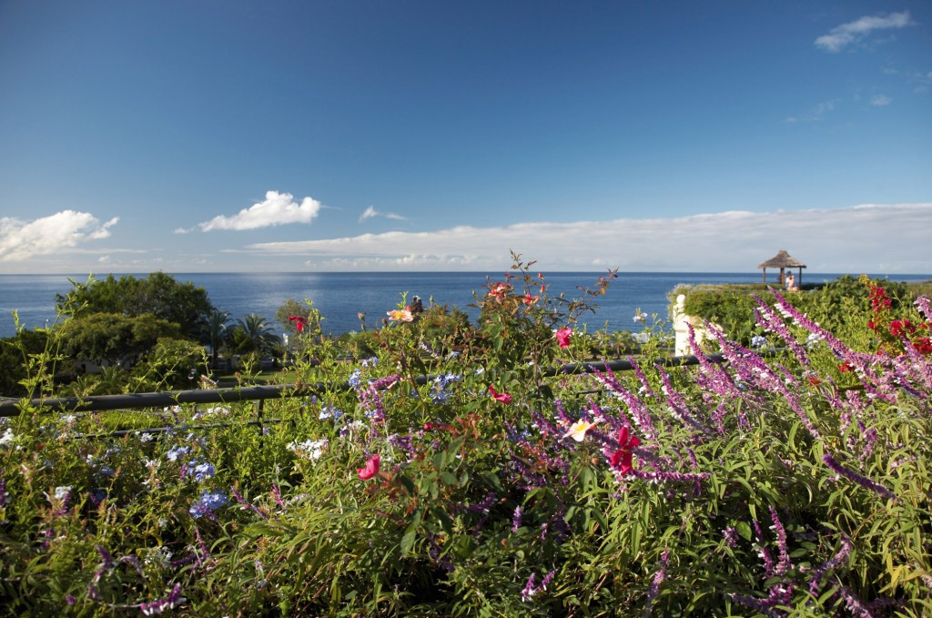 Suite Eden Mar