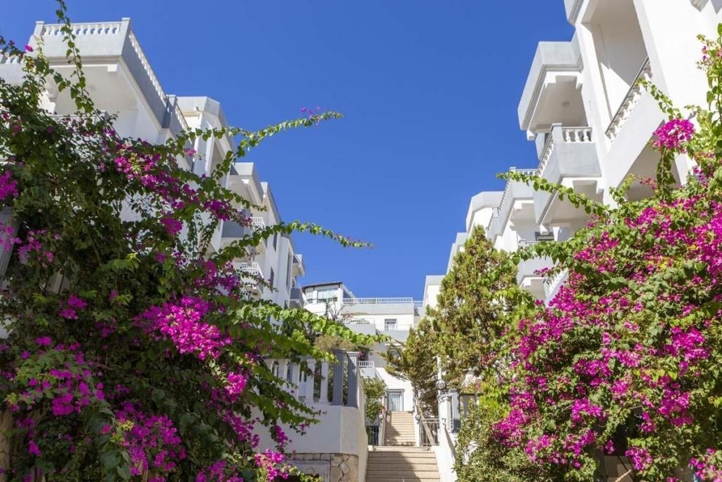 Smart Stay Beach Bodrum