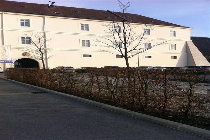 Altes Kloster (Hainburg An Der Donau)